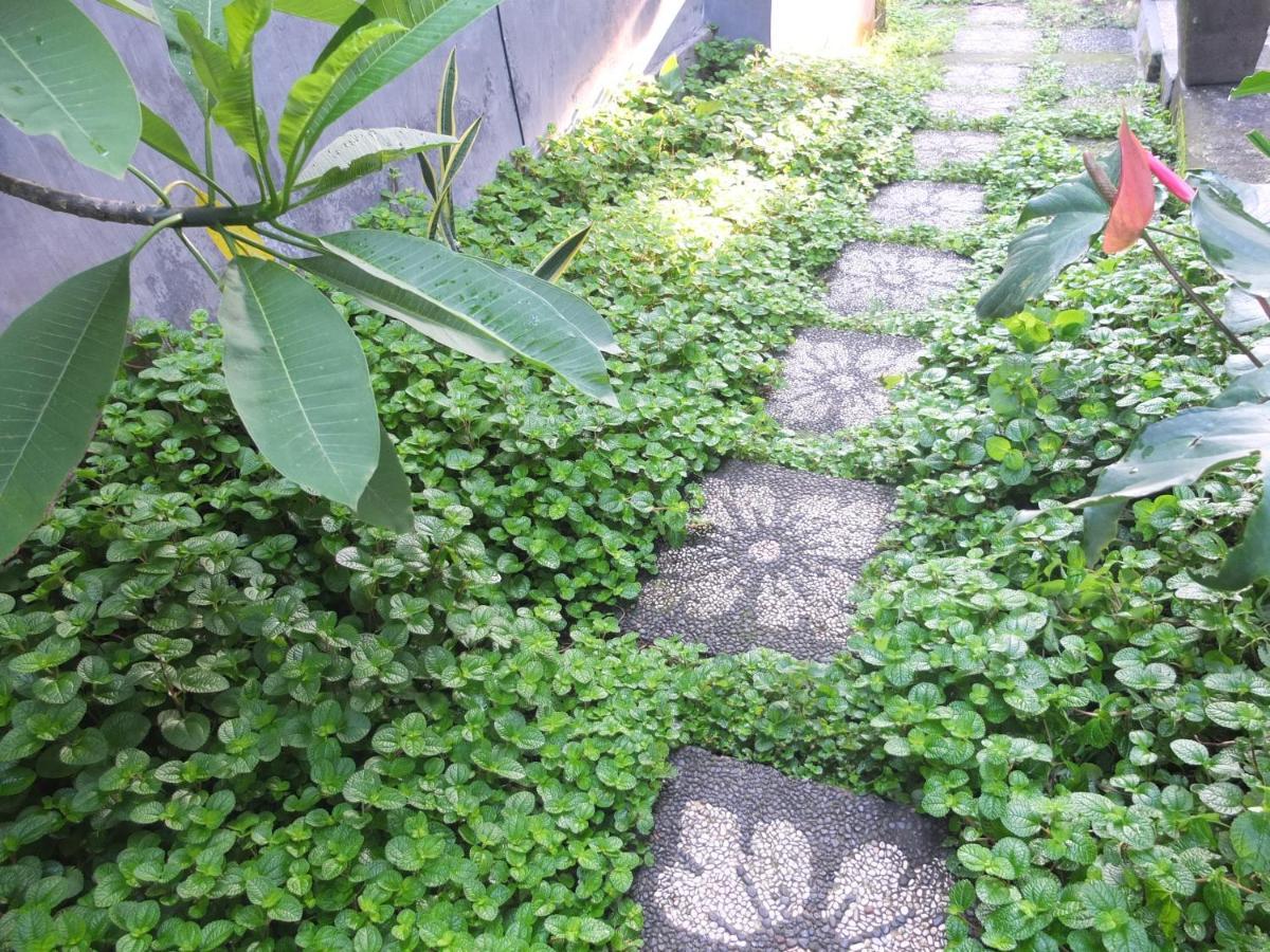Ojek'S Homestay Ubud Exteriör bild